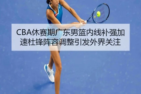 CBA休赛期广东男篮内线补强加速杜锋阵容调整引发外界关注
